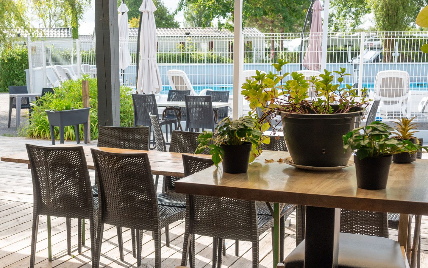 Brasserie et terrasse du Camping Les 3 Sablières