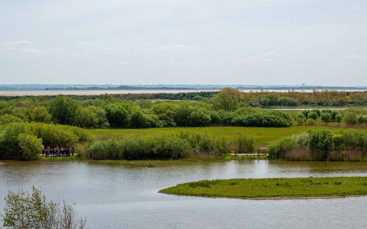 Parc du Marquenterre au départ d'un camping de Baie de Somme