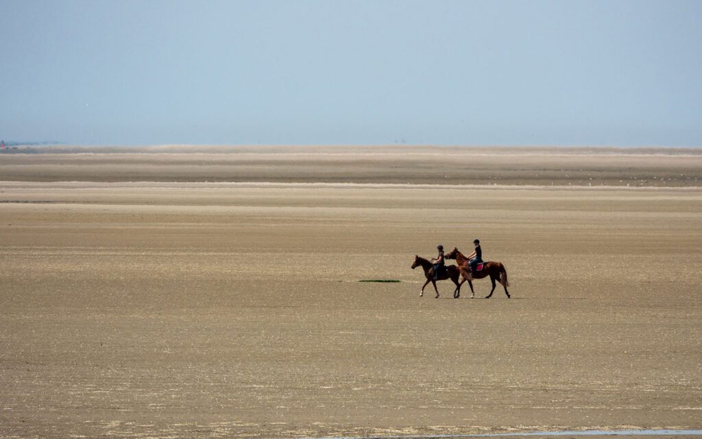 Balade à cheval - Que faire en Baie de Somme ?