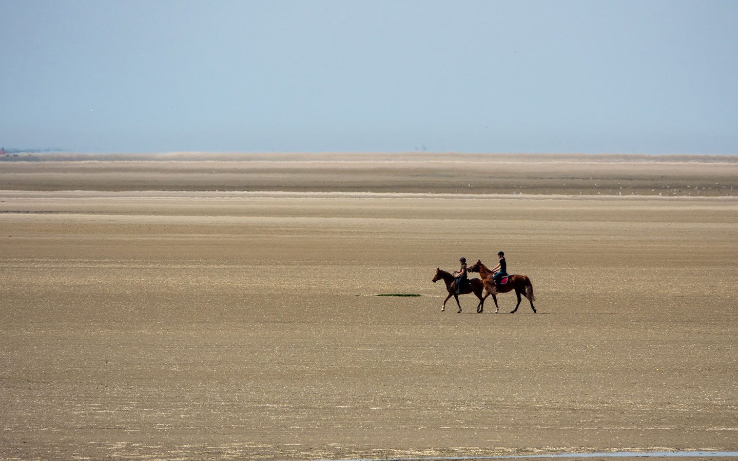 Balade à cheval sur la plage en Baie de Somme