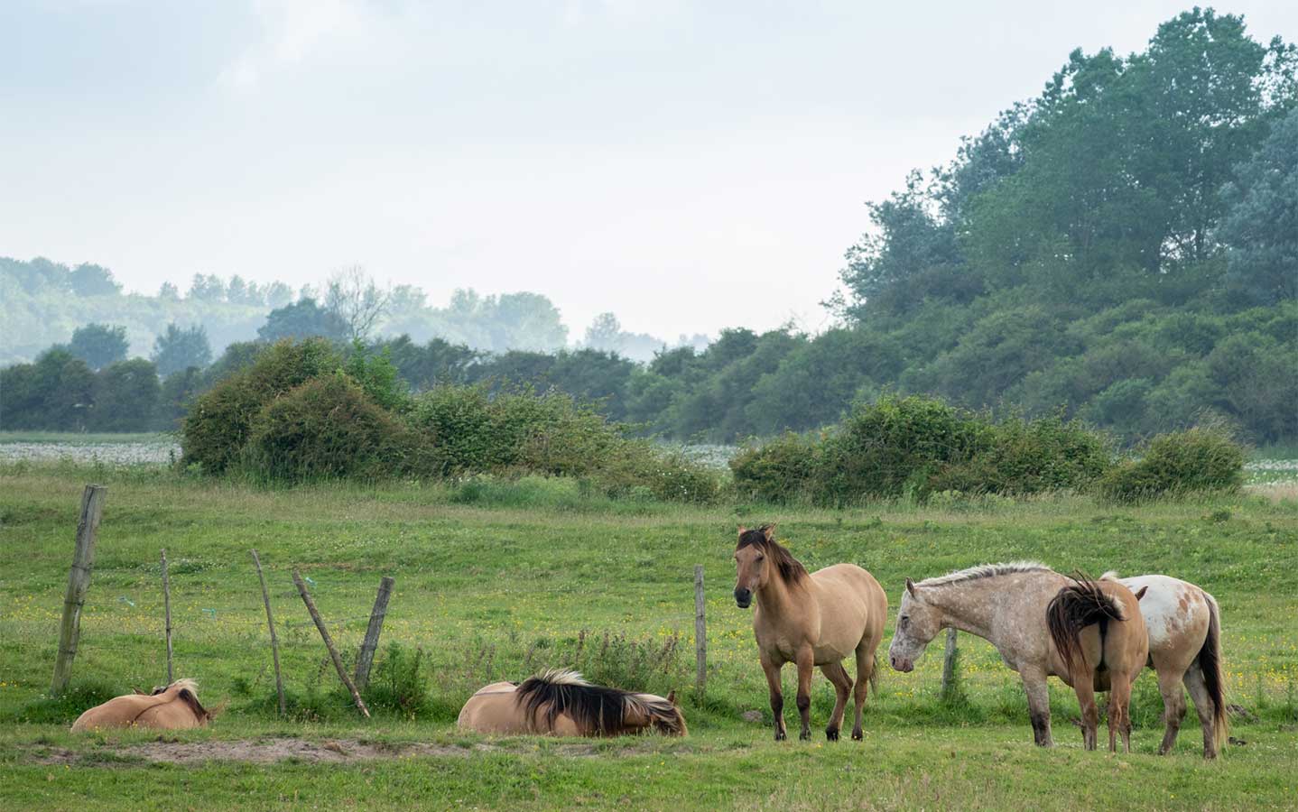 incontournables de la Baie de Somme