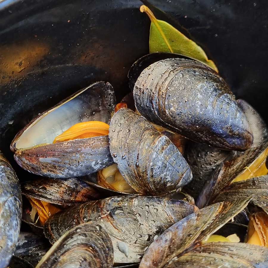 Moules à la Brasserie L'Ilette du Camping Les 3 Sablières