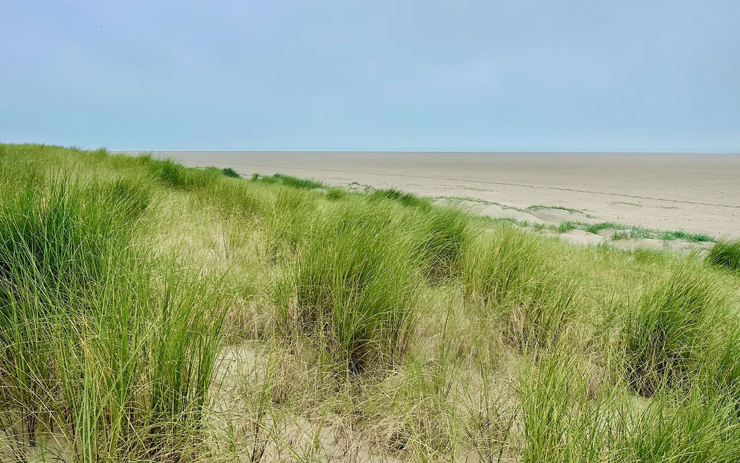 Plage sauvage de Baie de Somme