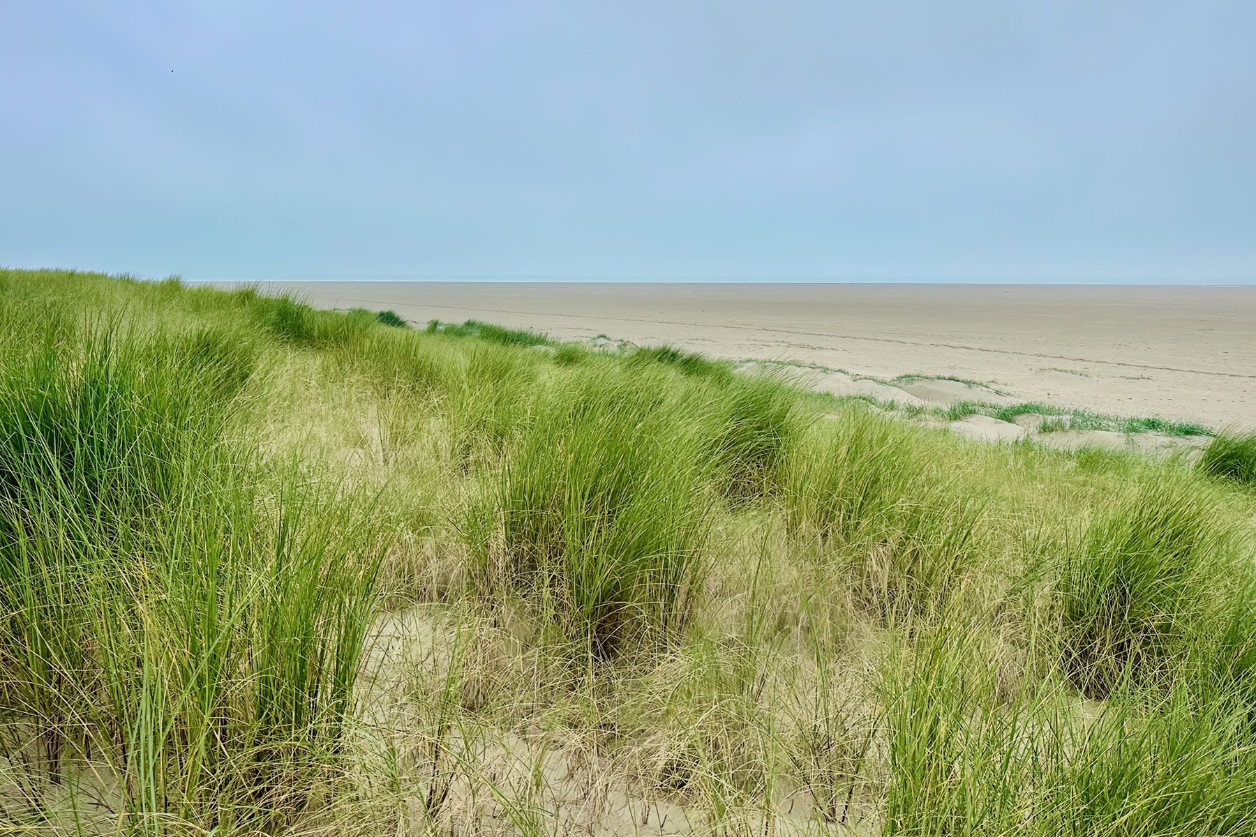 Plage du Crotoy, paradis des activités familiales en été