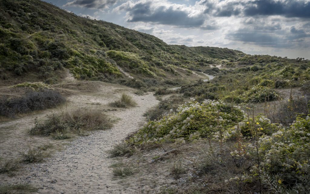 Sentier pédestre de Cayeux-sur-Mer