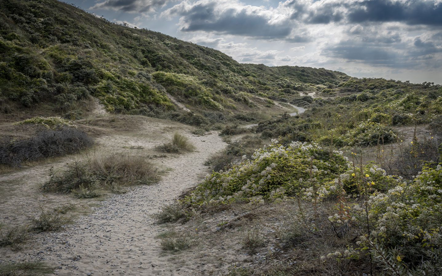 Sentier pédestre de Cayeux-sur-Mer