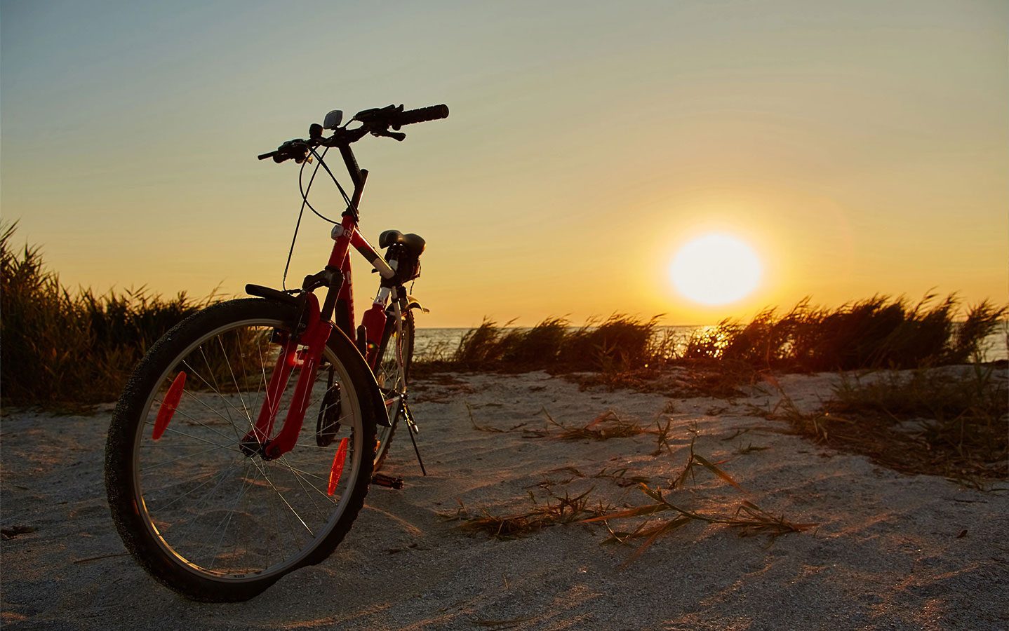 Vélo en Baie de Somme